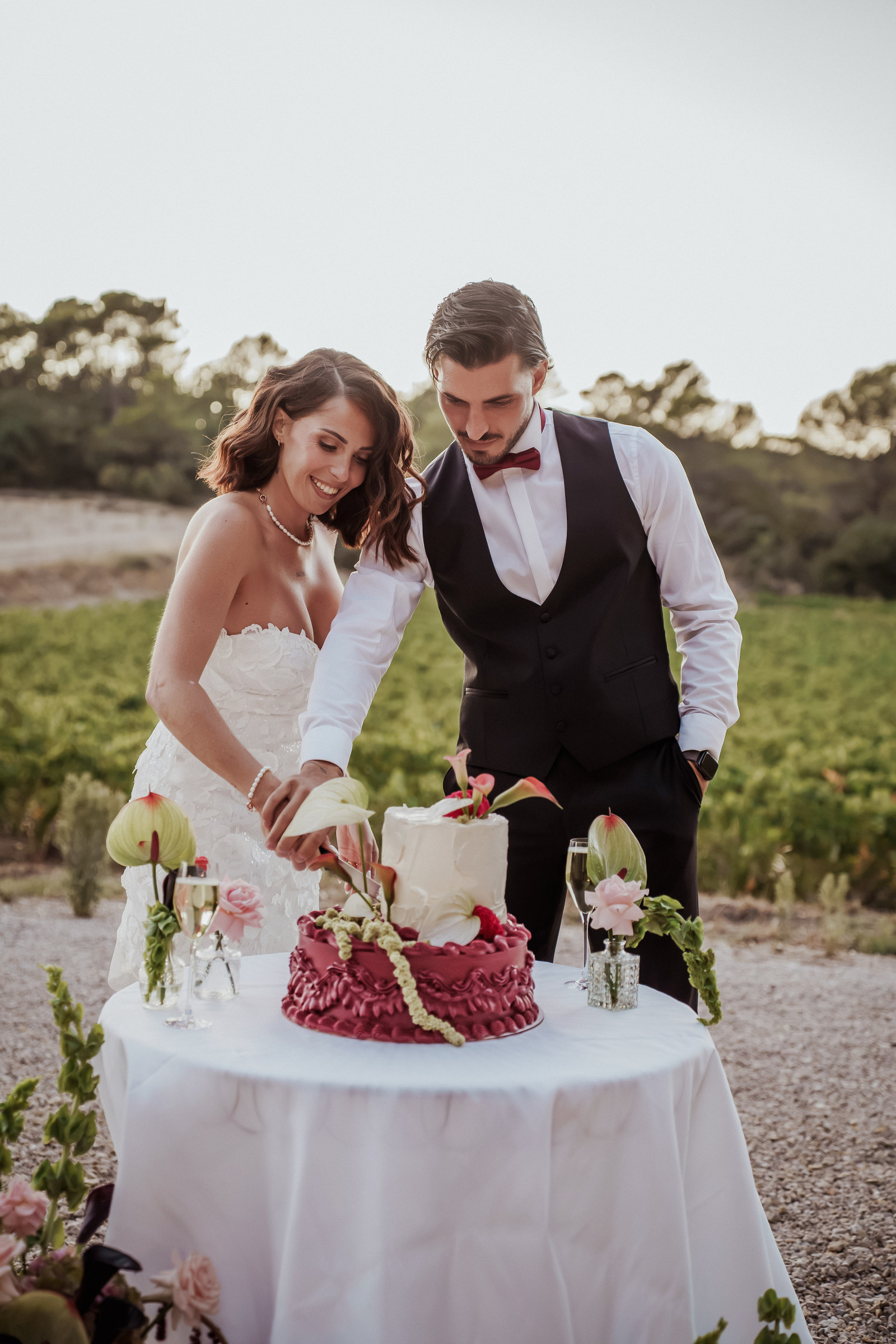 Mariés coupant le gâteau de mariage bordeaux devant le vignoble